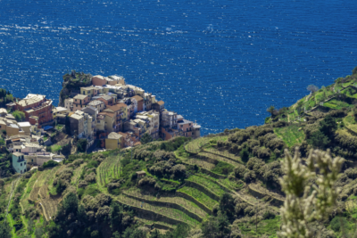 Manarola